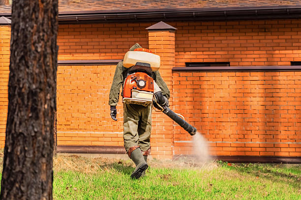 Trusted Rodent Control service in New Brighton, PA - Nex Pest Control